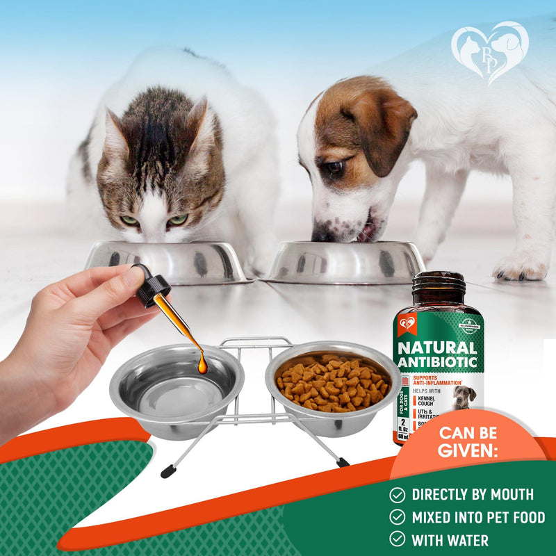 Natural Herbal Antibiotics for Cats and Dogs   Kennel Cough Relief & Urinary Tract Support   Cranberry UTI Treatment Pet…