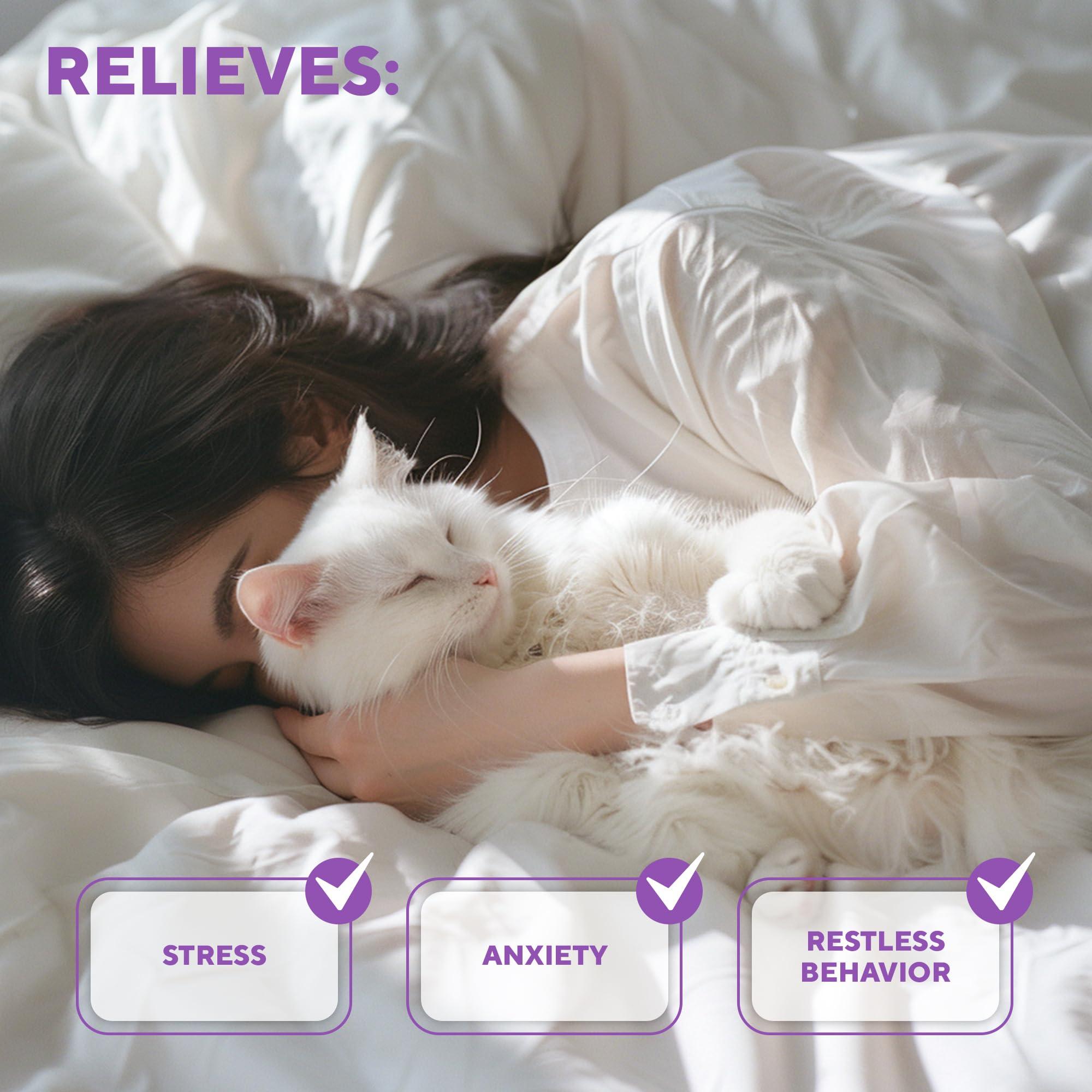 Calming Cat Diffuser Refill & Anti Anxiety Pet Products   Feline Calm Pheromones & Cats Comfort   Stress Relief Help with…