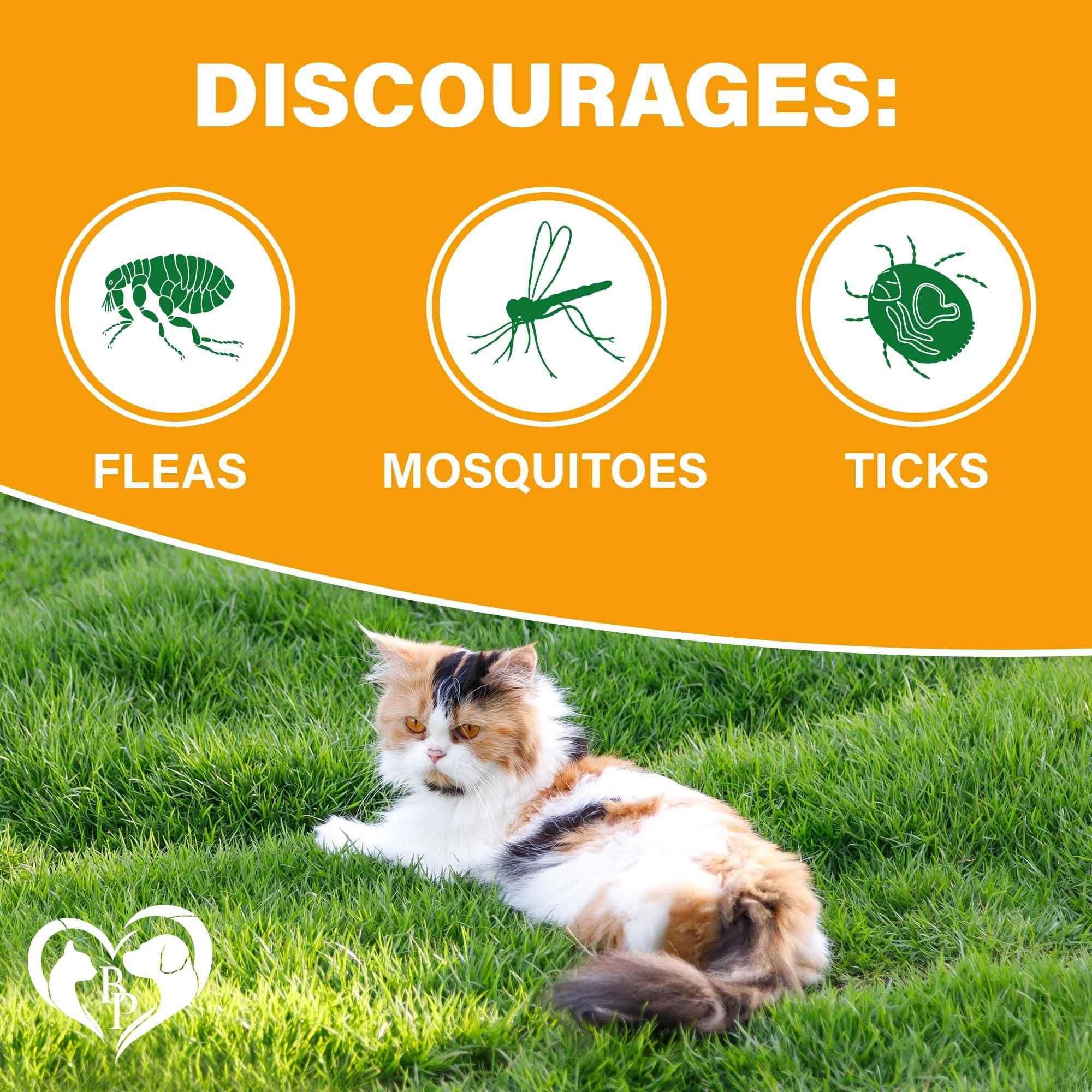 Flea and Tick Prevention Chewable Pills for Dogs and Cats   Revolution Oral Flea Treatment for Pets   Pest Control & Natural Defense   Chewables Small Tablets Made in USA (Chicken (for Cats))