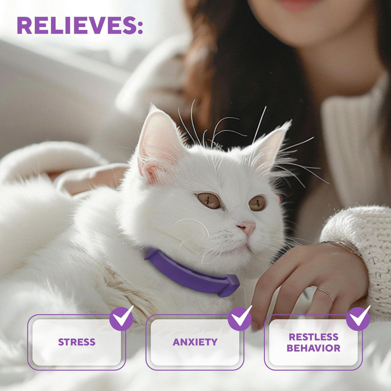 Cat Calming Collar & Pet Anti Anxiety Products   Feline Calm Pheromones Collars & Cats Stress Relief   Comfort Helps with…