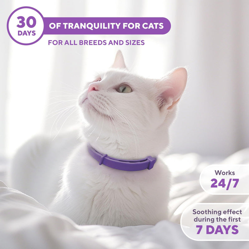 Cat Calming Collar & Pet Anti Anxiety Products   Feline Calm Pheromones Collars & Cats Stress Relief   Comfort Helps with…