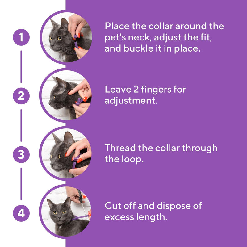 Cat Calming Collar & Pet Anti Anxiety Products   Feline Calm Pheromones Collars & Cats Stress Relief   Comfort Helps with…