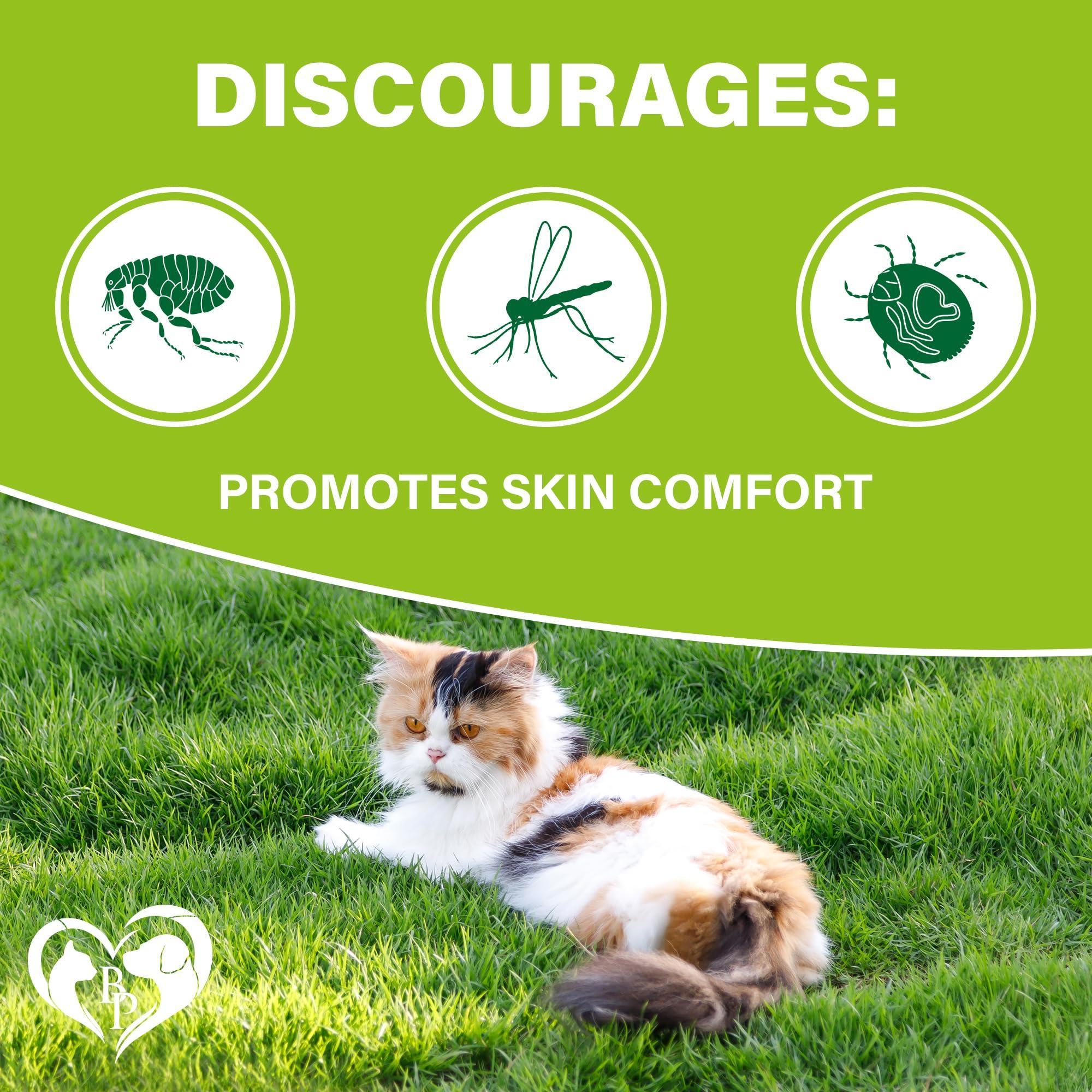 Flea and Tick Prevention Chewable Pills for Cats   Revolution Oral Flea Treatment for Pets   Pest Control & Natural Defense…