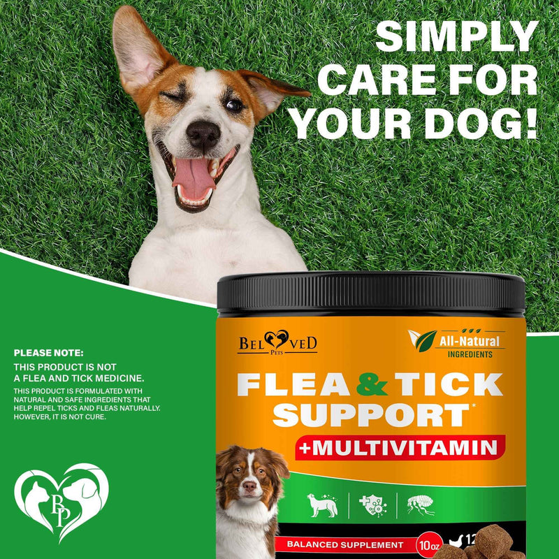 Flea and Tick Prevention Chewable Pills for Dogs   Revolution Oral Flea Treatment for Pets & Complex Multivitamin  Natural Pest Control & Defense Chews   Small Tablets Made in USA (10 Oz)