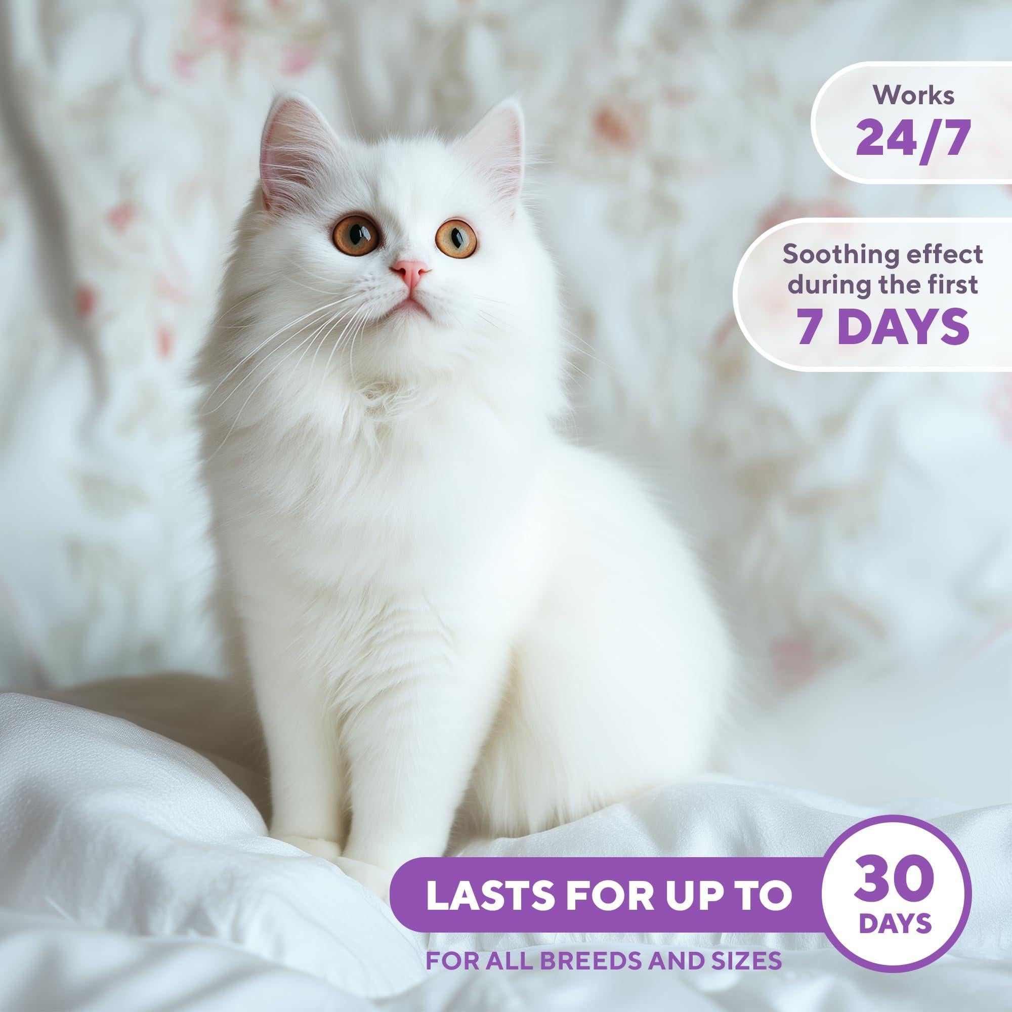 Beloved Pets Calming Pheromone Spray & Scratch Repellent for Cats   Reduce Scratching Furniture Pee   During Travel…