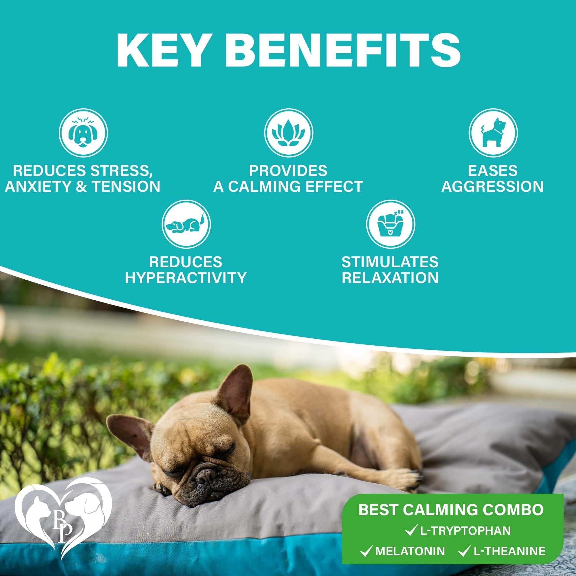 Hemp Calming Chews for Dogs & Puppy Pet Separation Anxiety Relief Treats & Calm Aggressive Behavior Melatonin Anti Stress Treatment Help with Thunder Sleep Aid Made in USA (Bacon (For Dogs))