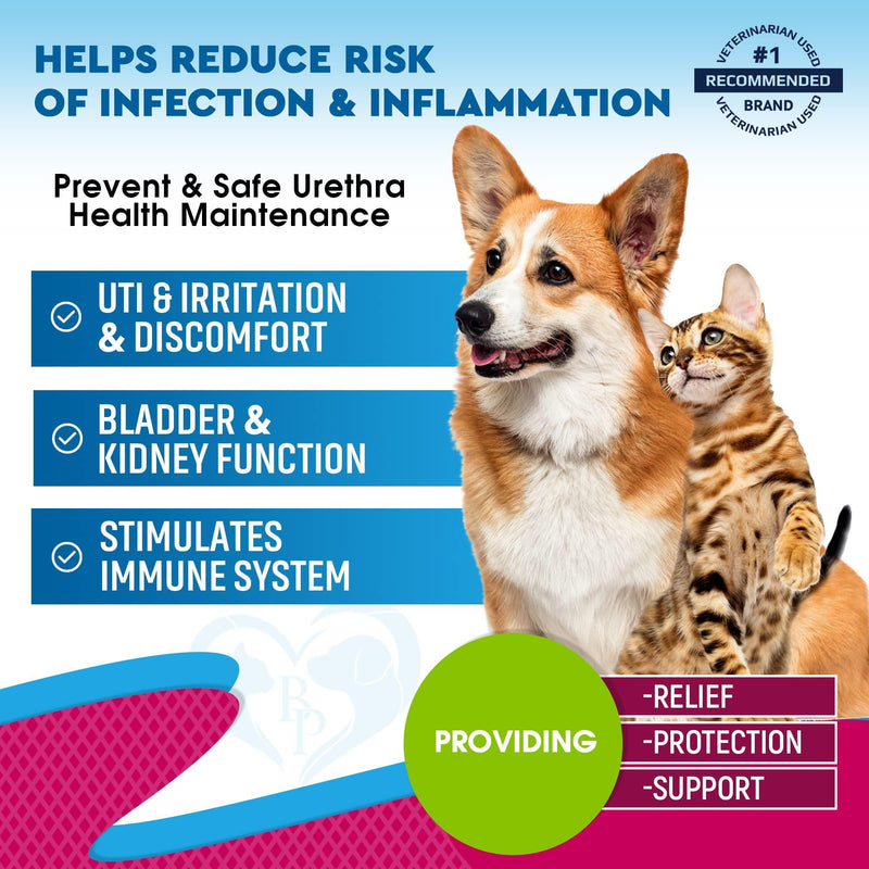 Cat & Dog Urinary Tract Infection Treatment & Natural UTI Medicine Cranberry Kidney Bladder Support Supplement   Best…