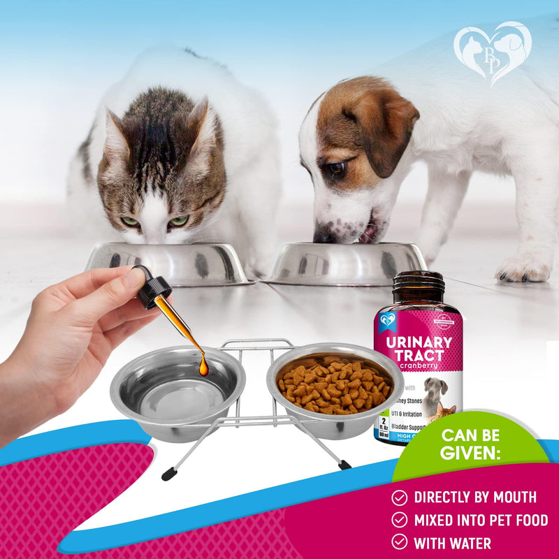 Cat & Dog Urinary Tract Infection Treatment & Natural UTI Medicine Cranberry Kidney Bladder Support Supplement   Best…