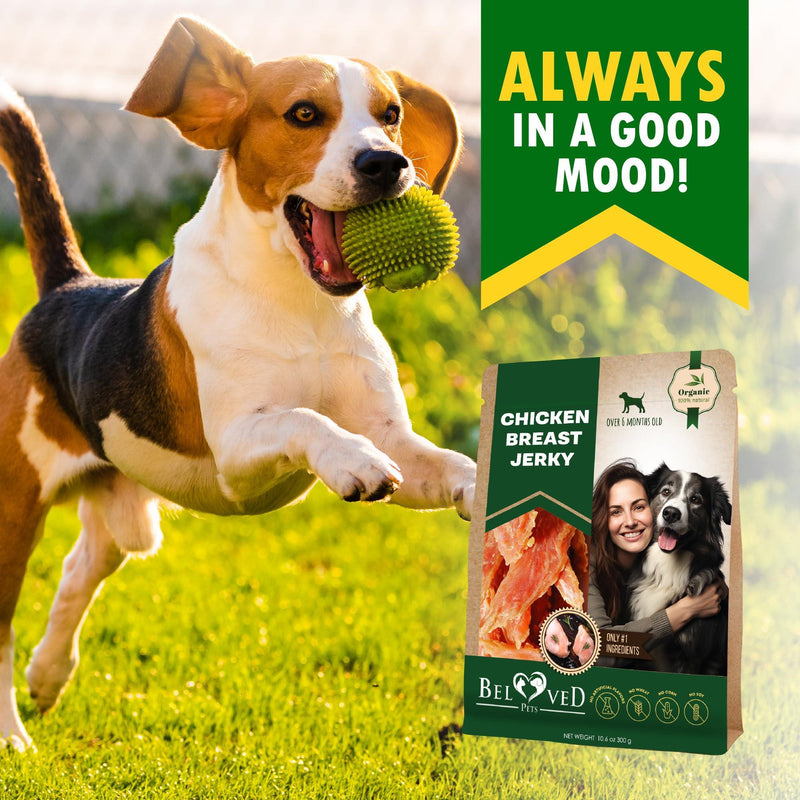 Chicken Jerky Dog Treats & All Natural and Organic Healthy Snacks for Large & Small Dogs   Grain Free and High Protein…