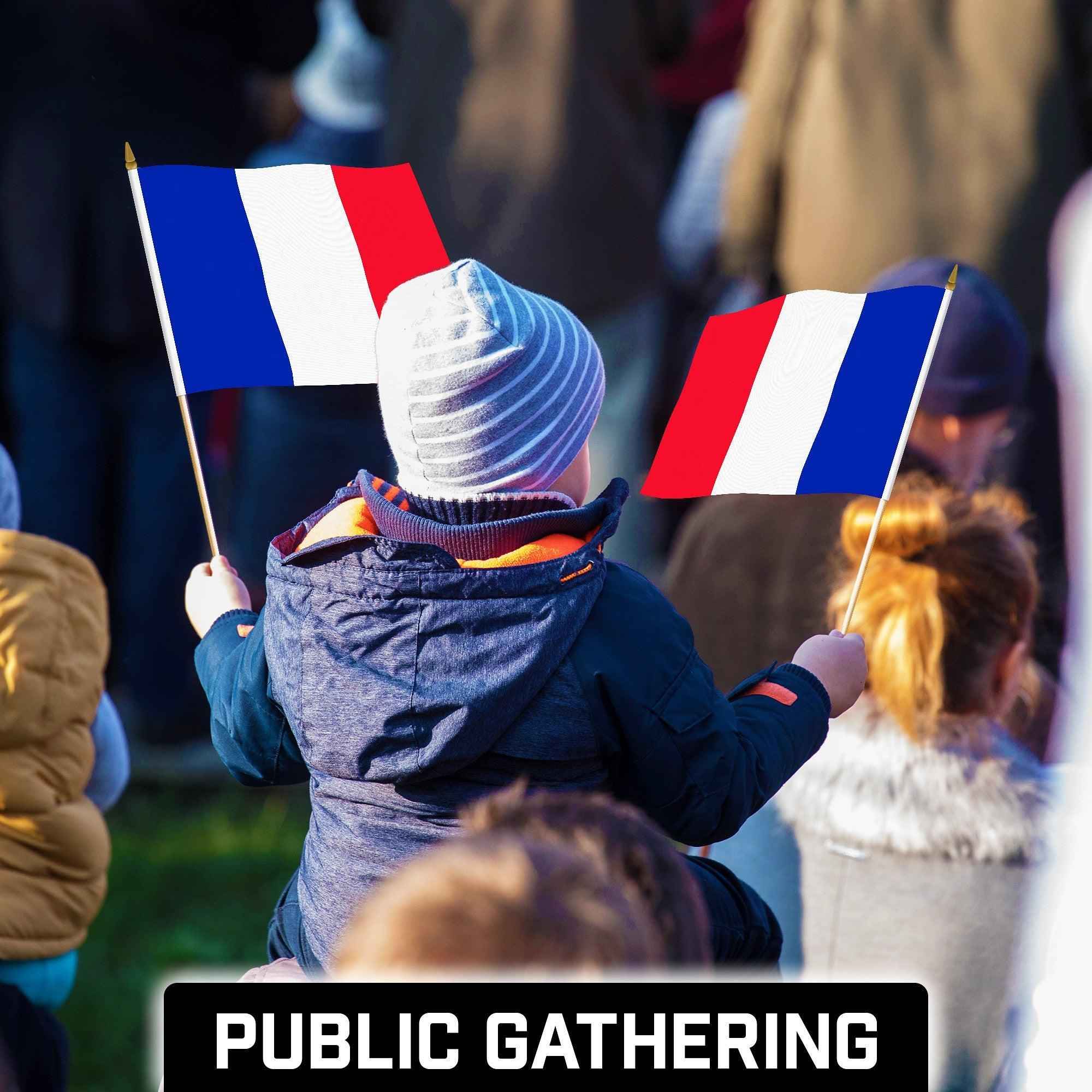 G128 30 Pack Handheld France French Stick Flags | 12x18 In | Printed 150D Polyester, Country Flag, Solid Wooden Stick, Spear Gold Tip