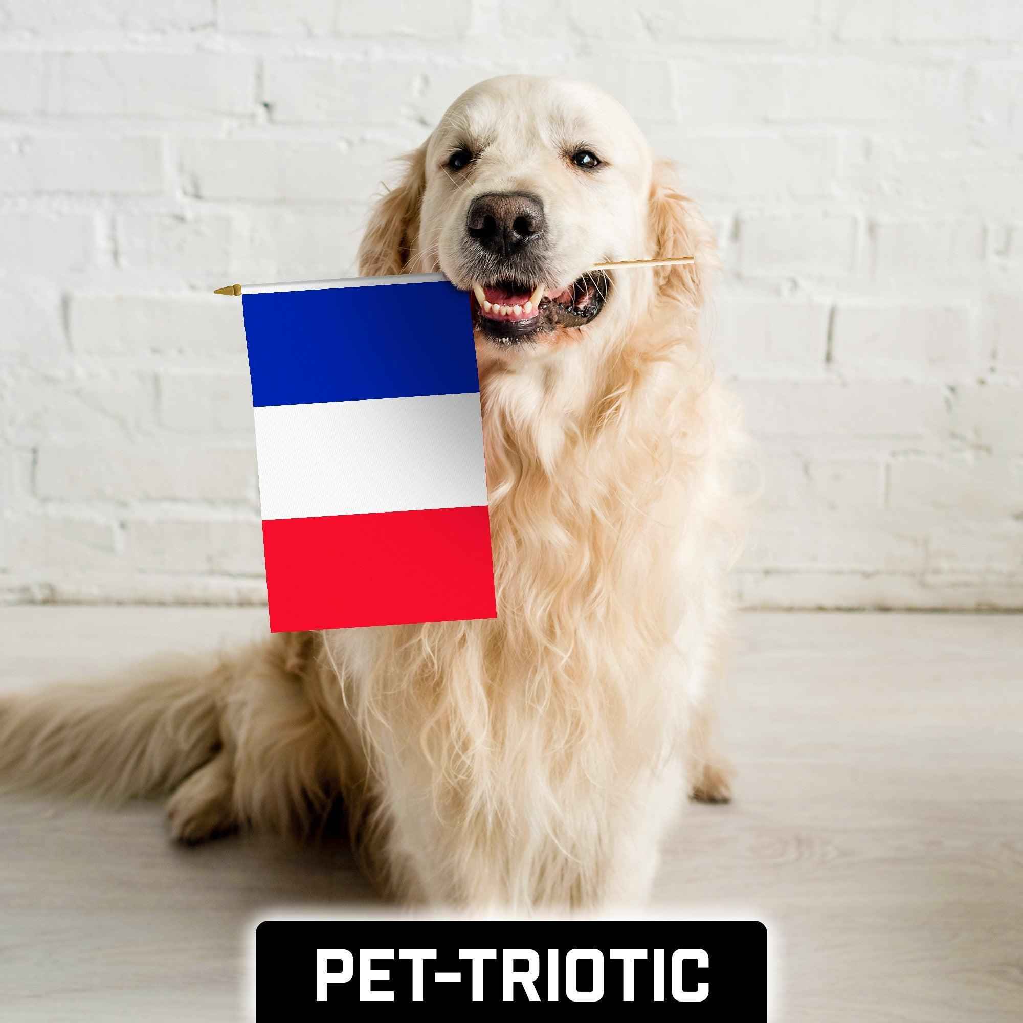 G128 30 Pack Handheld France French Stick Flags | 12x18 In | Printed 150D Polyester, Country Flag, Solid Wooden Stick, Spear Gold Tip