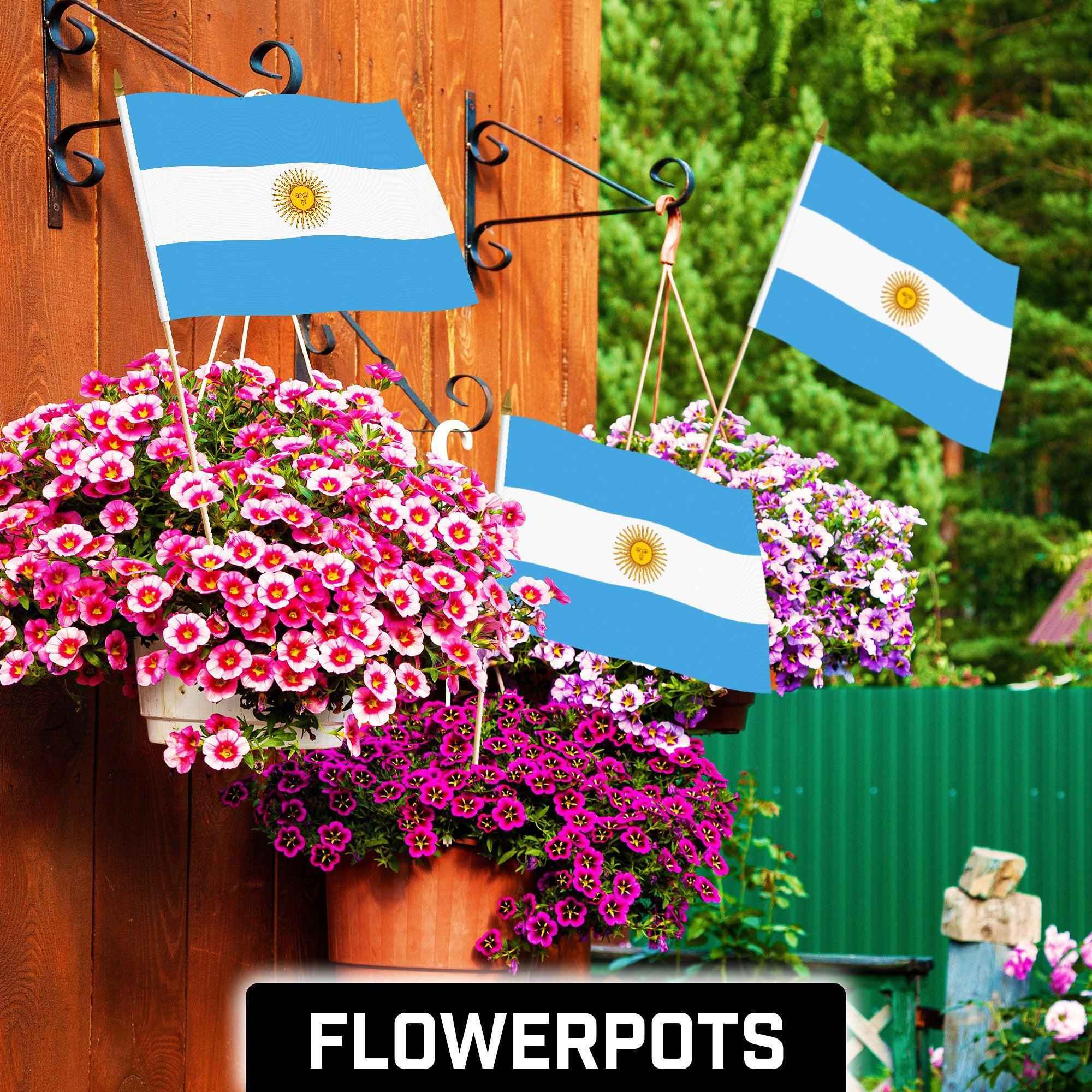 G128 24 Pack Handheld Argentina Argentinian Stick Flags | 12x18 In | Printed 150D Polyester, Country Flag, Solid Wooden Stick, Spear Gold Tip