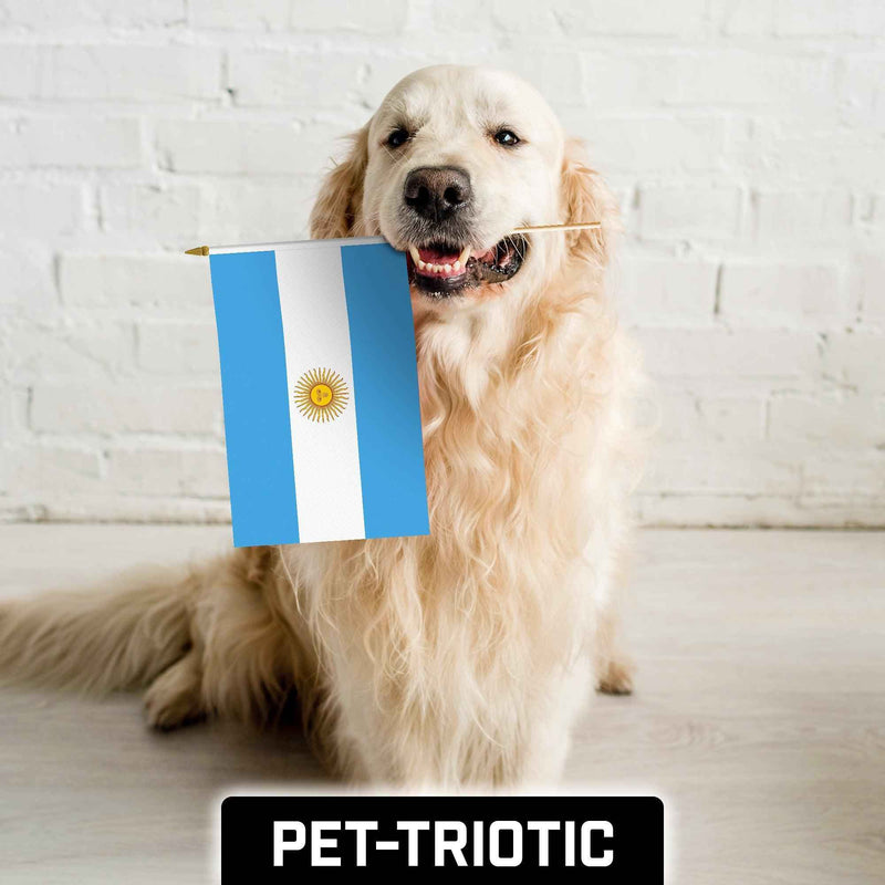 G128 24 Pack Handheld Argentina Argentinian Stick Flags | 12x18 In | Printed 150D Polyester, Country Flag, Solid Wooden Stick, Spear Gold Tip