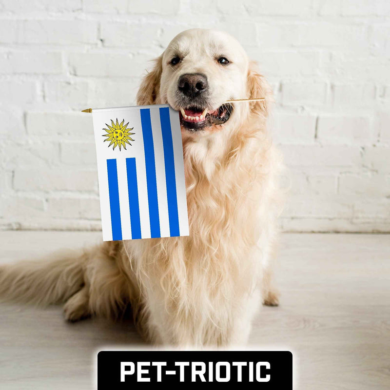 G128 24 Pack Handheld Uruguay Uruguayan Stick Flags | 12x18 In | Printed 150D Polyester, Country Flag, Solid Wooden Stick, Spear Gold Tip