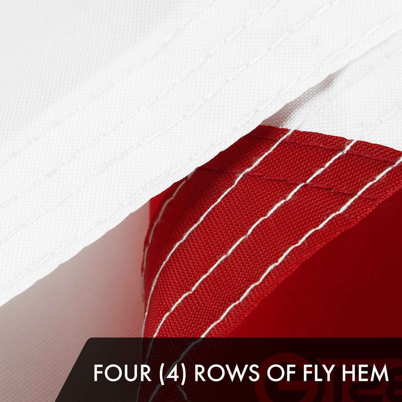 G128 3 Pack: Florida FL State Flag | 6x10 Ft | ToughWeave Series Embroidered 210D Polyester | Embroidered Design, Indoor/Outdoor, Vibrant Colors, Brass Grommets