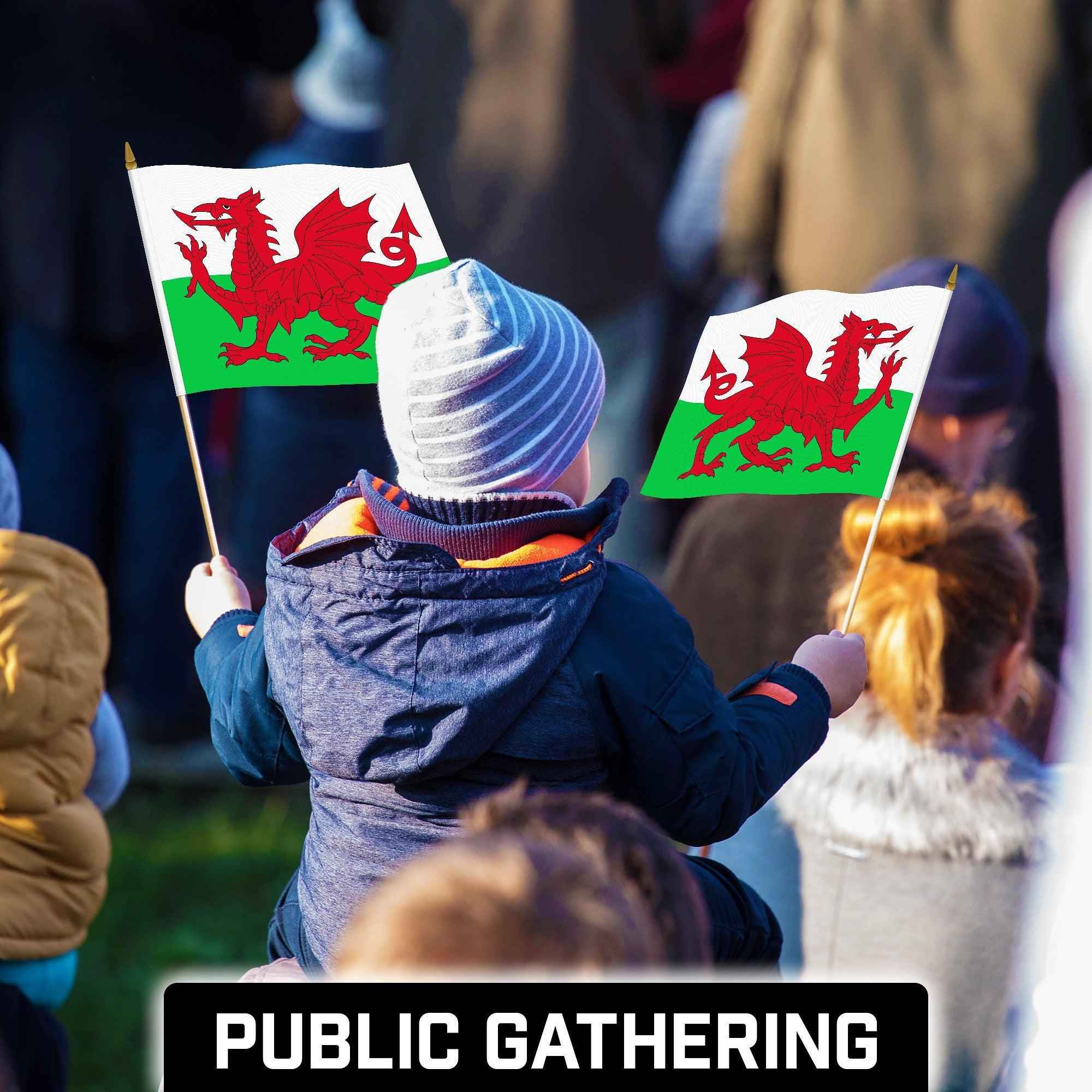 G128 30 Pack Handheld Wales Welsh Stick Flags | 12x18 In | Printed 150D Polyester, Country Flag, Solid Wooden Stick, Spear Gold Tip