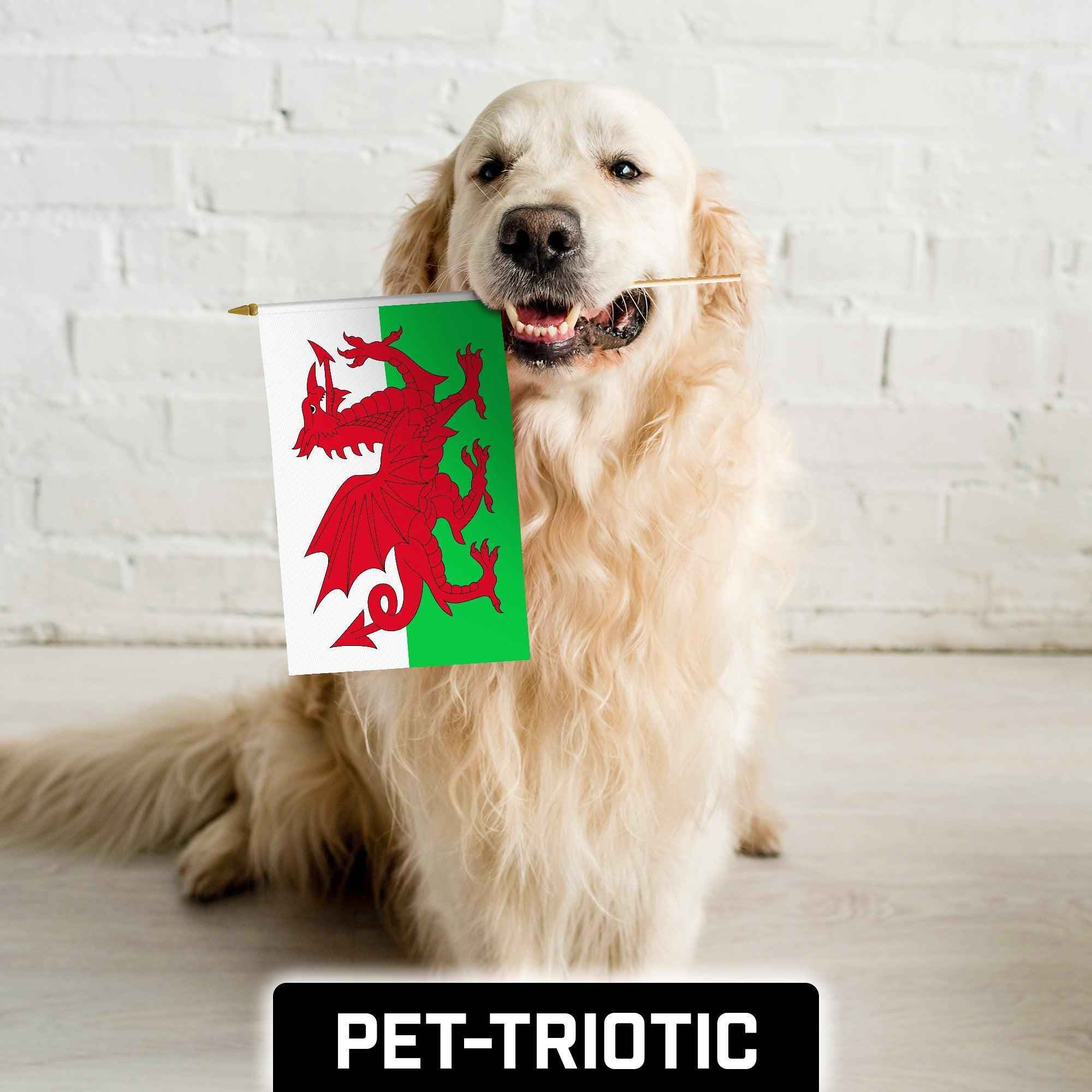 G128 30 Pack Handheld Wales Welsh Stick Flags | 12x18 In | Printed 150D Polyester, Country Flag, Solid Wooden Stick, Spear Gold Tip