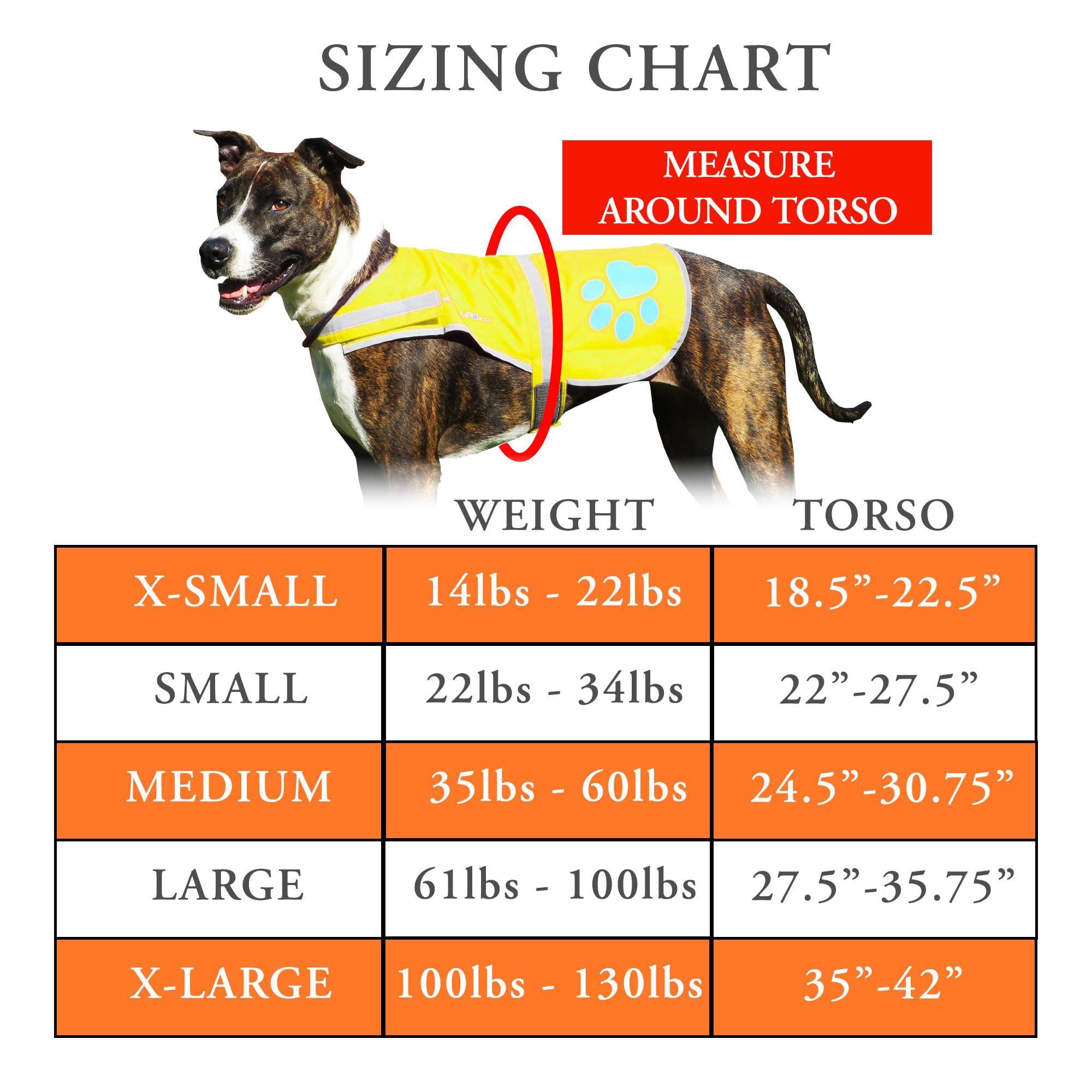 Dog Reflective Vest Sizes to Fit Dogs 14 lbs to 130 lbs    Hi Vis Safety Vest Keeps Dogs Visible On and Off Leash in Both…
