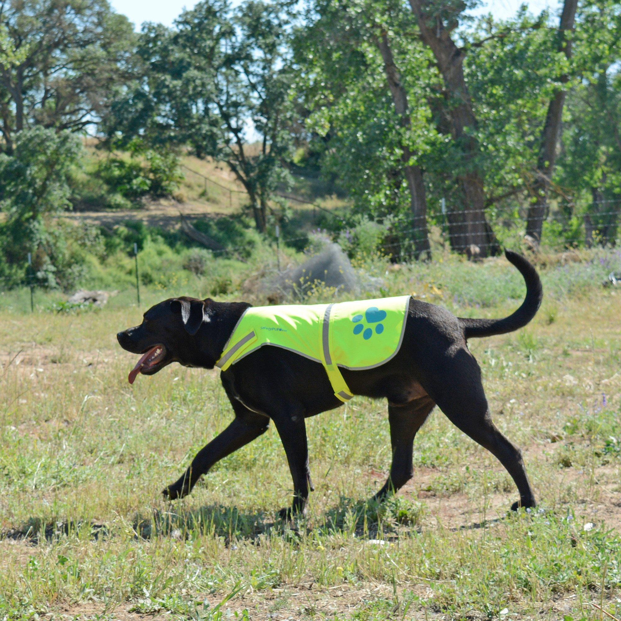 Dog Reflective Vest Sizes to Fit Dogs 14 lbs to 130 lbs    Hi Vis Safety Vest Keeps Dogs Visible On and Off Leash in Both…