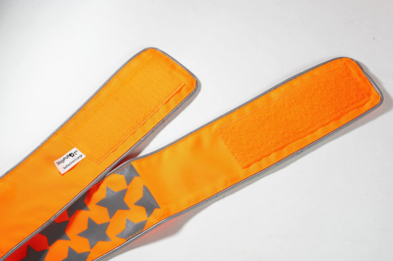 Reflective Dog Collar. Fluorescent Blaze Orange with Adjustable Fastener for Small Medium & Large Pets. High Visibility Dog…