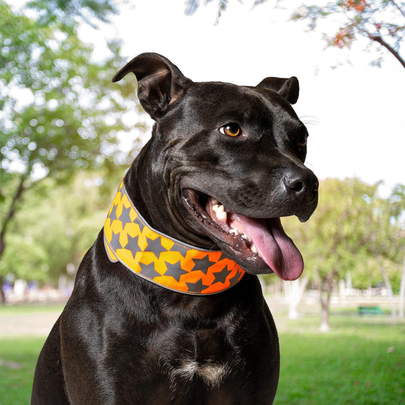 Reflective Dog Collar. Fluorescent Blaze Orange with Adjustable Fastener for Small Medium & Large Pets. High Visibility Dog…
