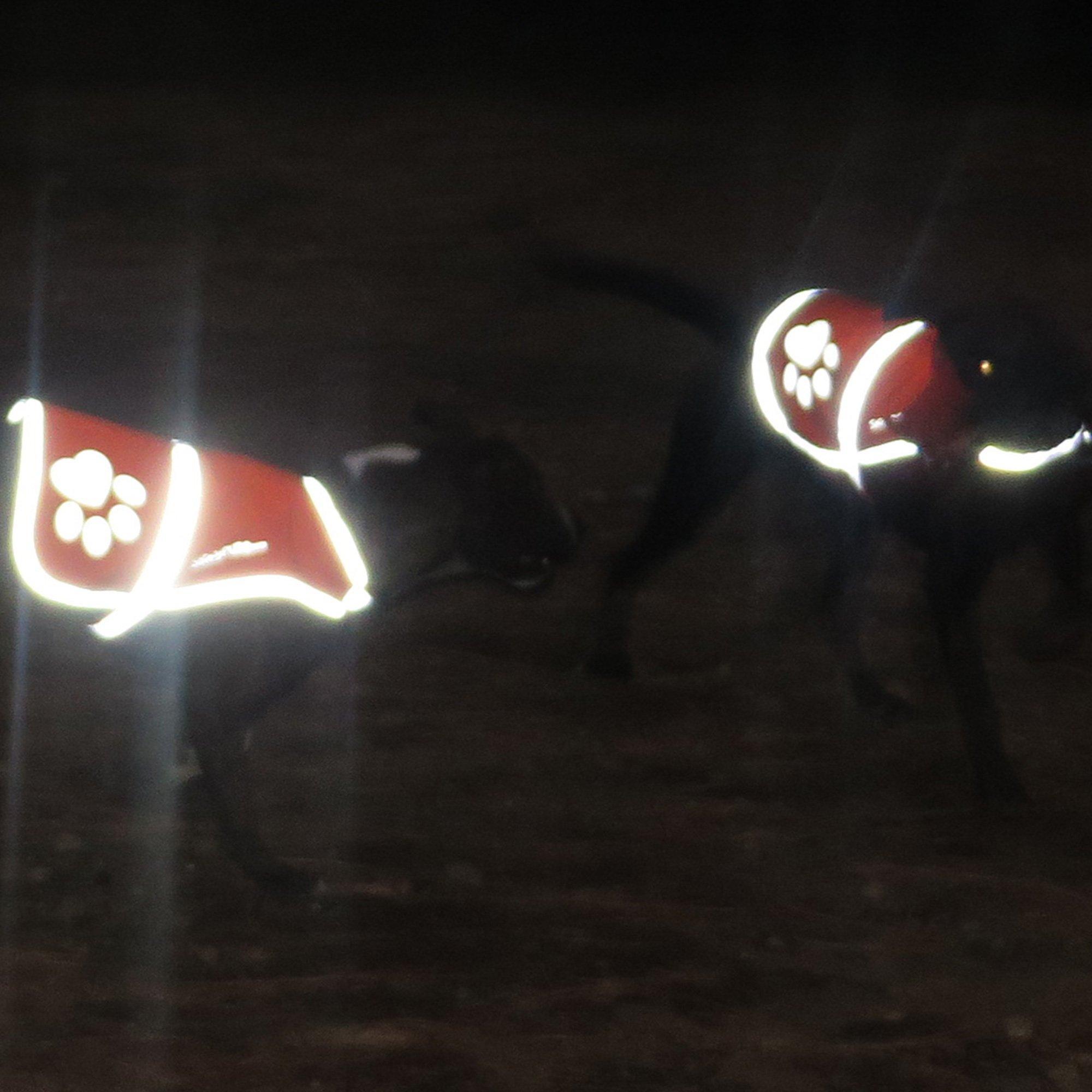 Dog Reflective Vest – Multiple Color Options with Hi Vis Fluorescent Visibility Helping to Safeguard Your Pet On Off Leash…