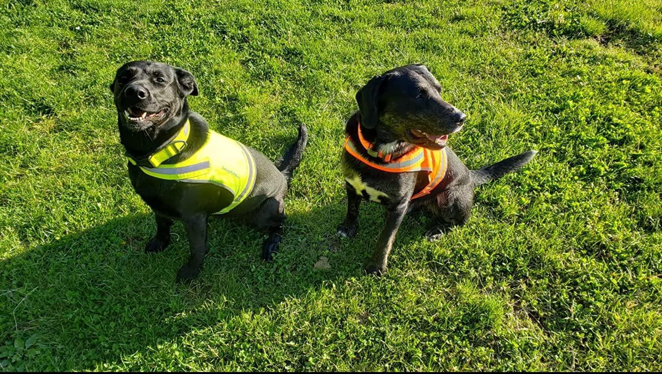 Lite Dog Vest. Coverage to Mid Back. Reflective Hi Visibility Fluorescent Yellow Fabric Helps to Keep Them in Sight and…