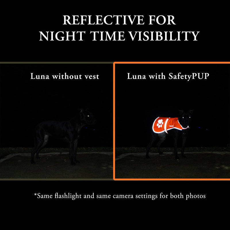 Dog Reflective Vest Sizes to Fit Dogs 14 lbs to 130 lbs   SafetyPUP XD Hi Vis Safety Vest Keeps Dogs Visible On and Off…