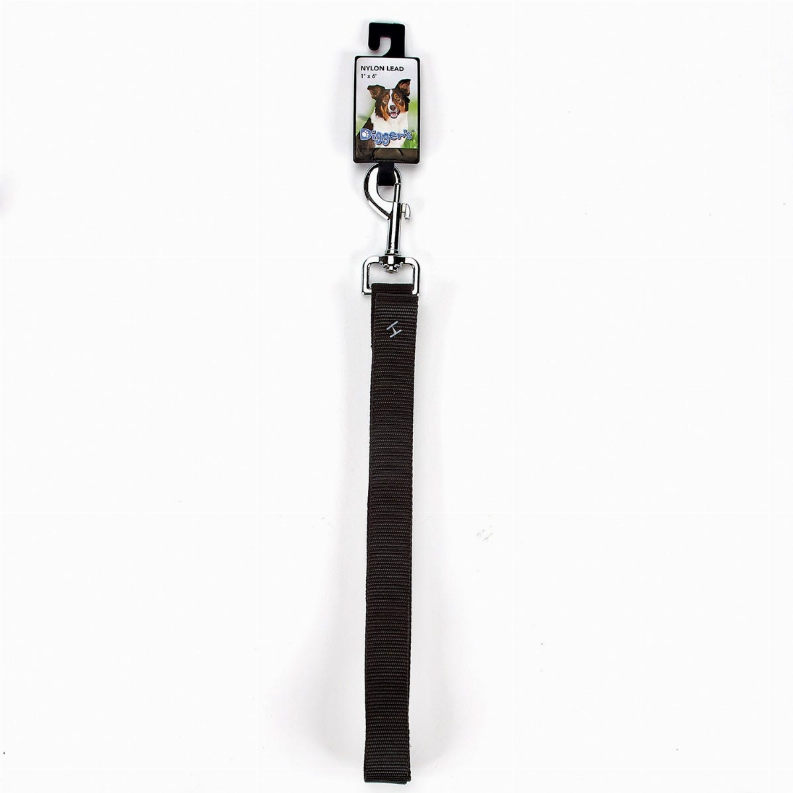 DGR 1in Nylon Lead - Neon Orange / 1 / 72in - Pet Supplies