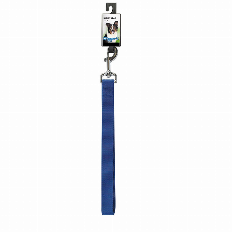 DGR 1in Nylon Lead - Neon Orange / 1 / 72in - Pet Supplies