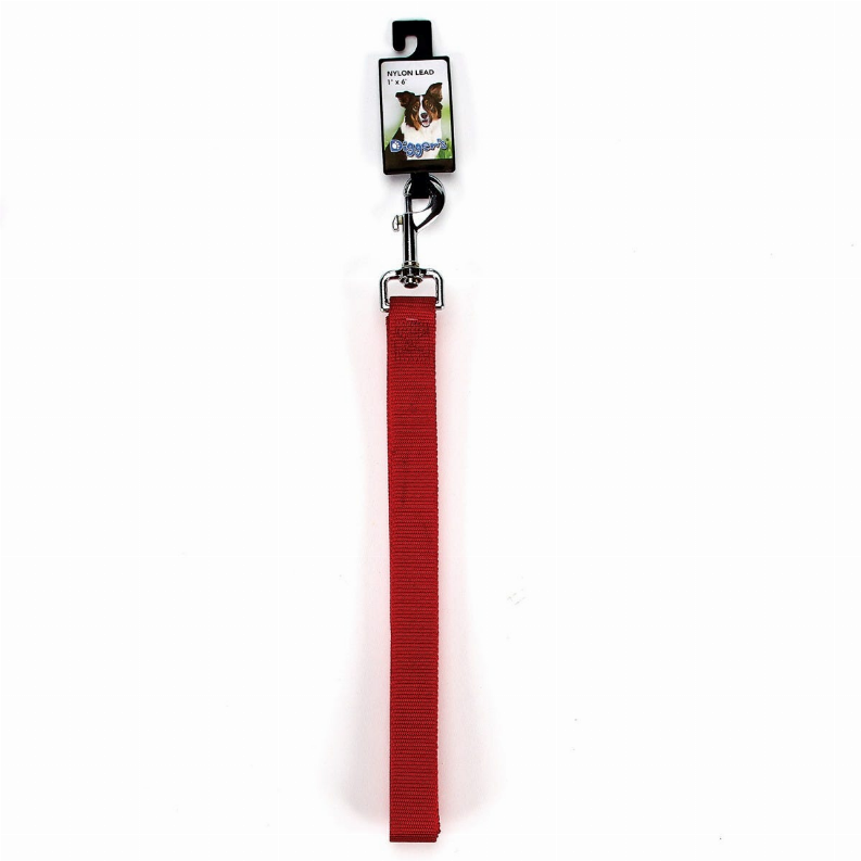 DGR 1in Nylon Lead - Neon Orange / 1 / 72in - Pet Supplies