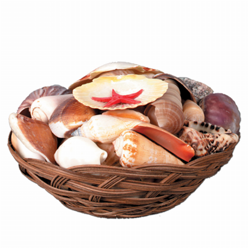 Woven shell basket filled with assorted seashells