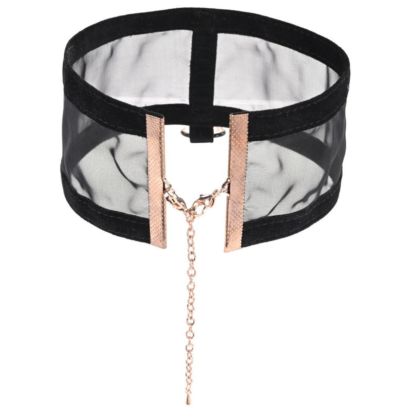 Sex & Mischief Sheer Day Collar - GreatEagleInc