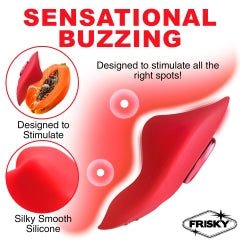 Frisky Love Connection Panty Vibe W/ Remote - Adult Products