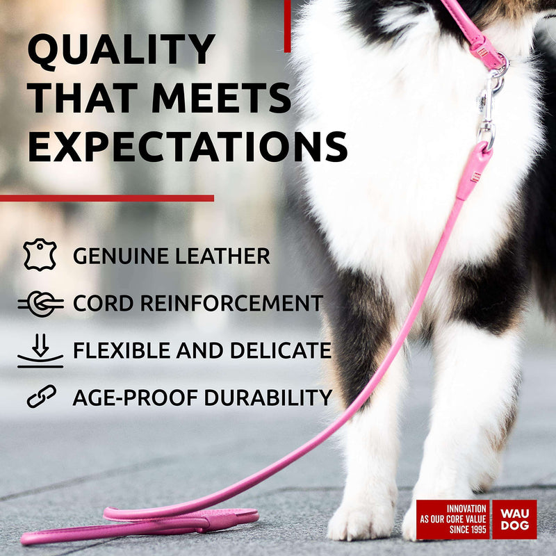 Rolled Leather Dog Leash 4Ft * 0.5 in for Small Medium and Large Dogs   Heavy Duty Leather Puppy Leash for Outdoor Walking…