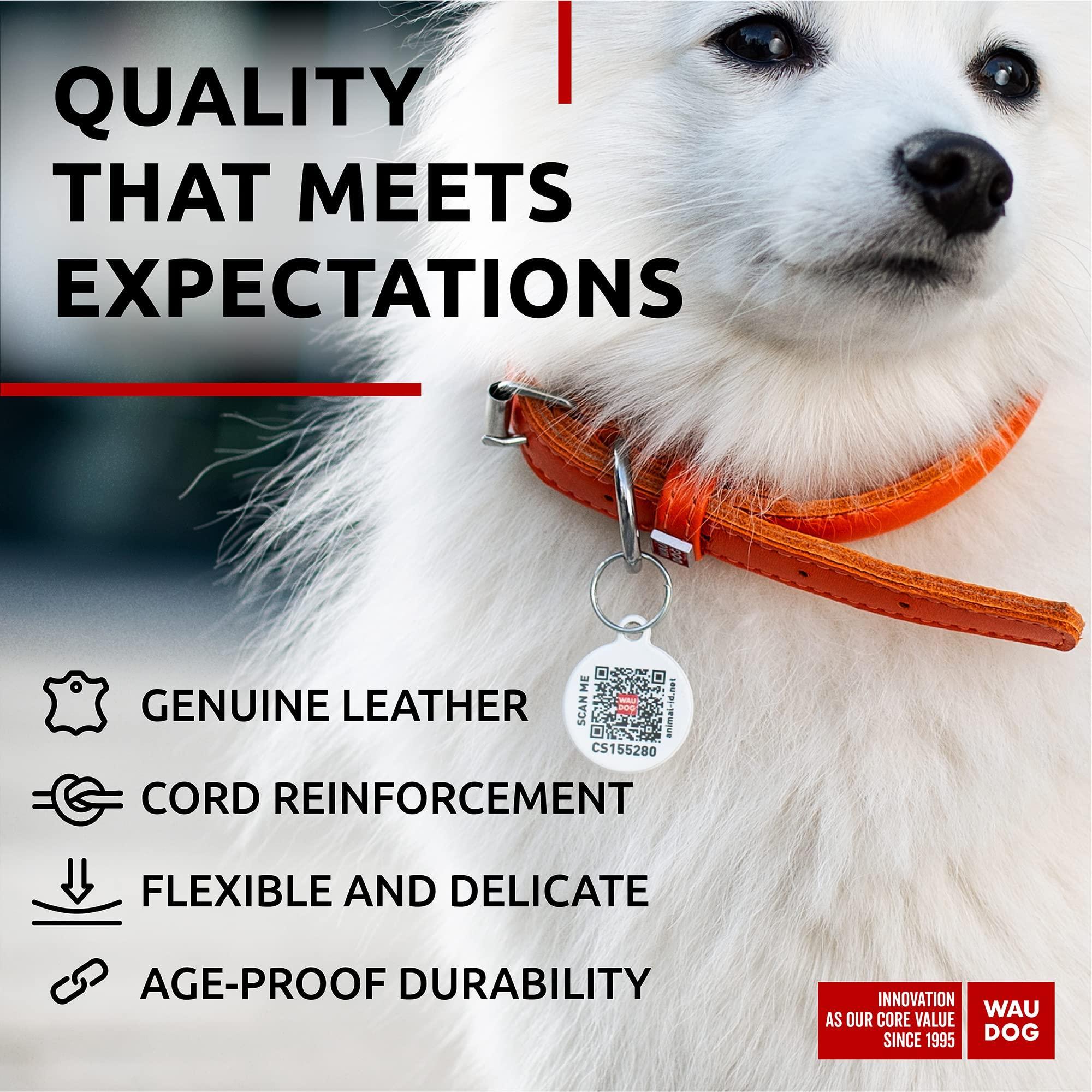 Ultra Soft Rolled Leather Dog Collar for Small Dogs   Soft Padded Dog Collars for Medium Dogs   Puppy Collars for Large…