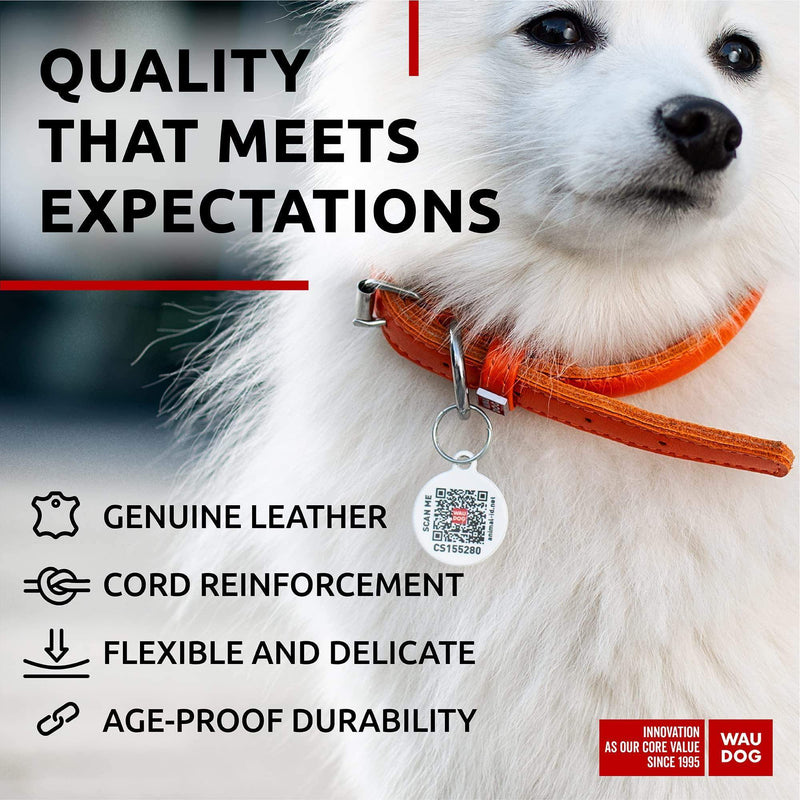 Ultra Soft Rolled Leather Dog Collar for Small Dogs   Soft Padded Dog Collars for Medium Dogs   Puppy Collars for Large…