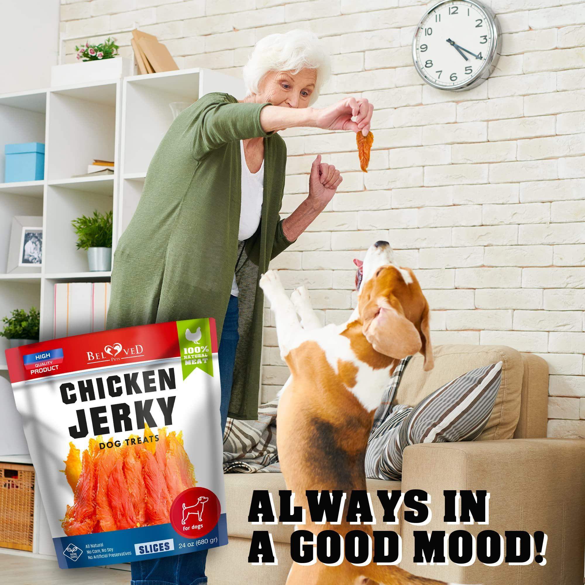 Chicken Jerky Dog Treats 1.5 Lb   Human Grade Pet Snacks & Grain Free Organic Meat   All Natural High Protein Dried Strips…