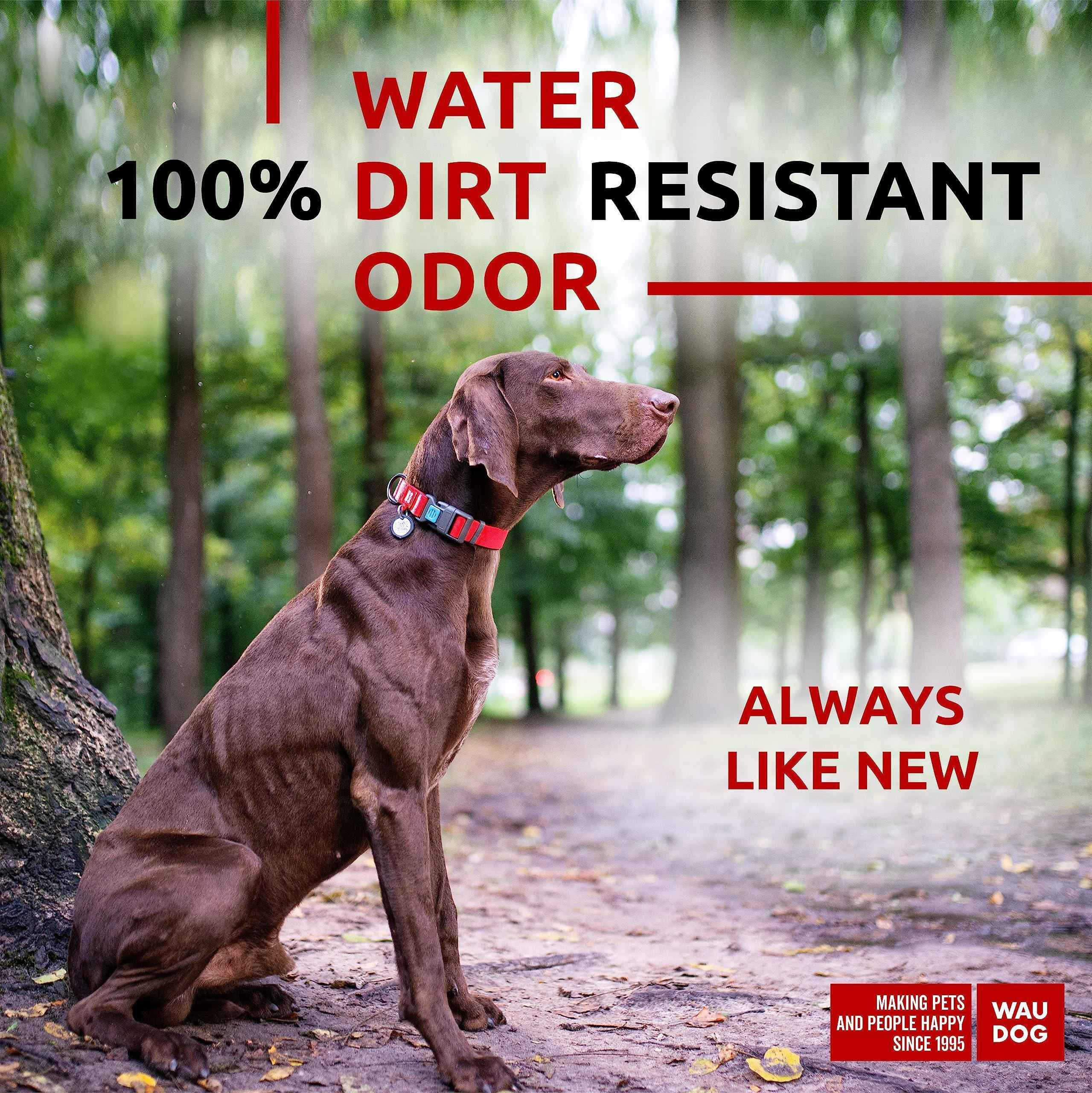 Waterproof Dog Collar   Adjustable Dog Collar for Large Dogs Small and Medium Dogs   Breakaway Dog Collar Waterproof with Plastic Buckle and QR Dog Tag   Boy & Girl Dog Collars (Red)