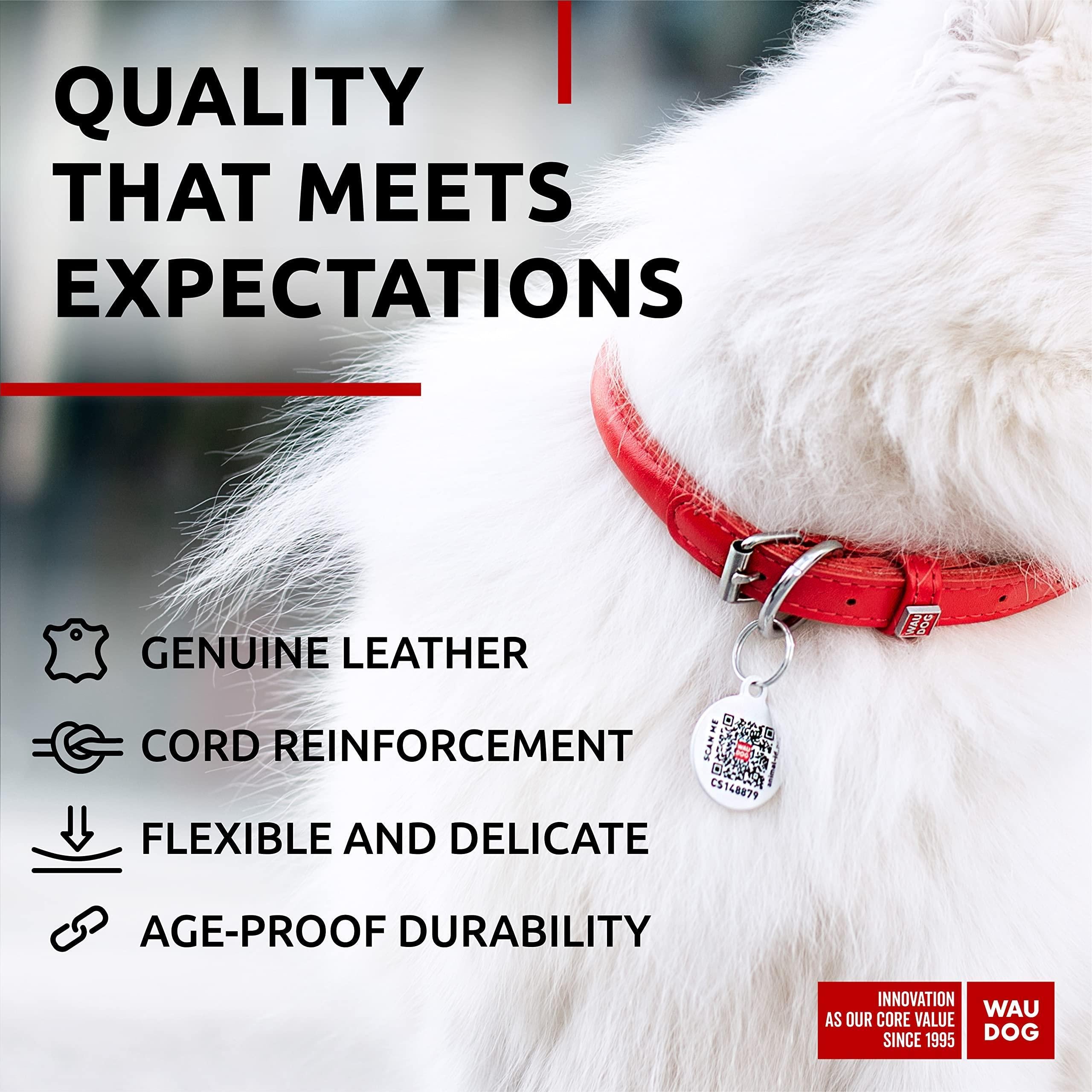 Ultra Soft Rolled Leather Dog Collar for Small Dogs   Soft Padded Dog Collars for Medium Dogs   Puppy Collars for Large…