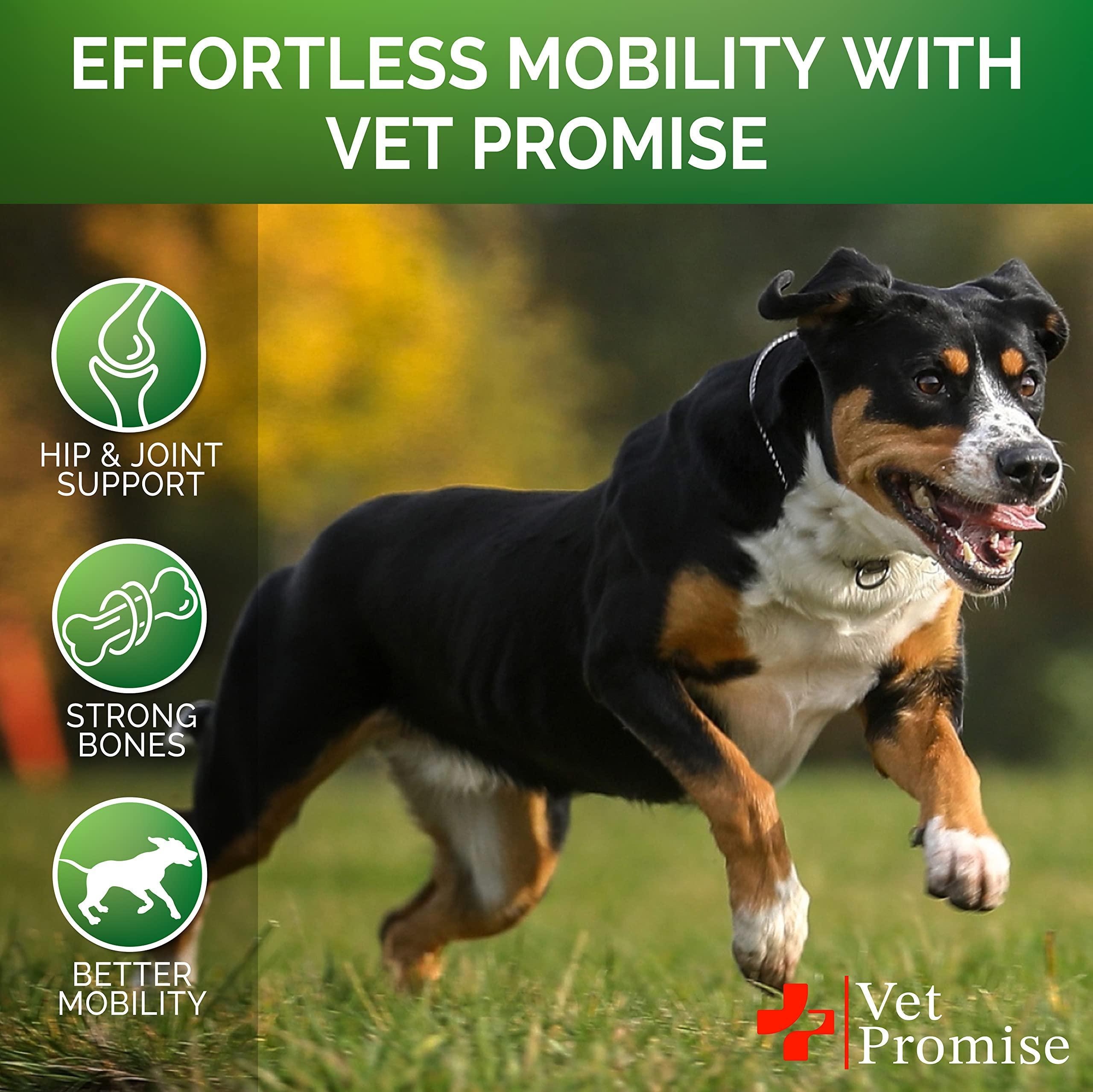 Glucosamine for Dogs   Hip and Joint Supplement for Dogs   Glucosamine Chondroitin for Dogs   Dog Joint Pain Relief Treats…
