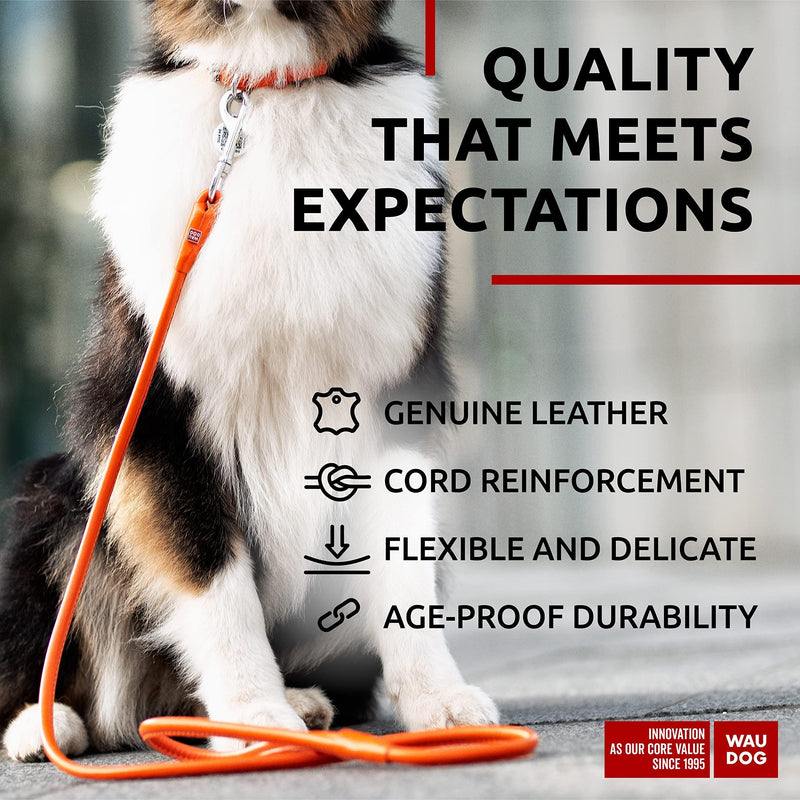Rolled Leather Dog Leash 4Ft * 0.5 in for Small Medium and Large Dogs Heavy Duty Leather Puppy Leash for Outdoor Walking Running Training Strong Dog Leashes for Large Breed Dogs (Orange)