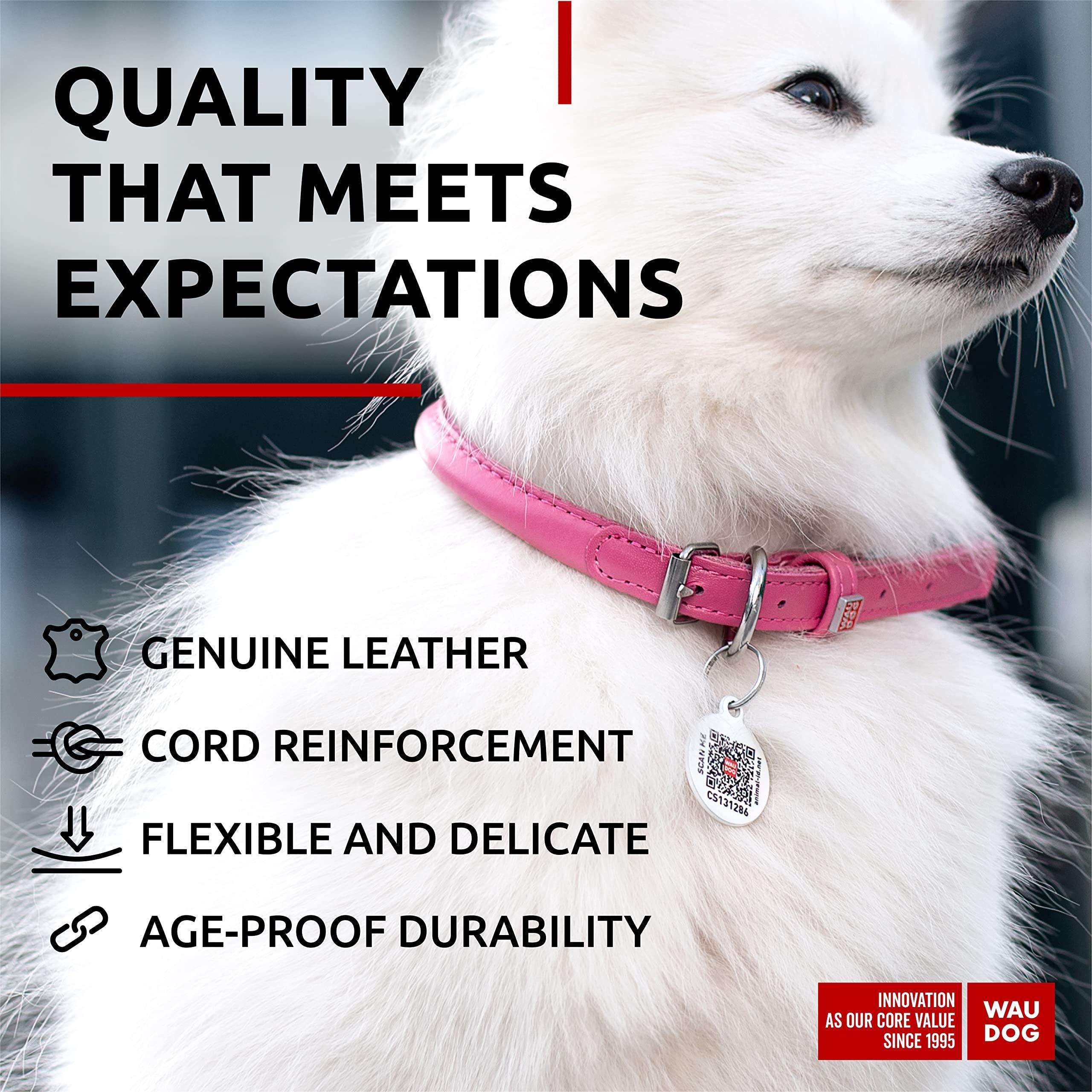 Ultra Soft Rolled Leather Dog Collar for Small Dogs   Soft Padded Dog Collars for Medium Dogs   Puppy Collars for Large…