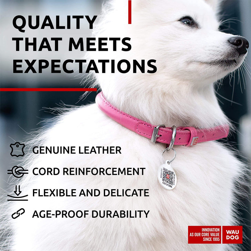Ultra Soft Rolled Leather Dog Collar for Small Dogs   Soft Padded Dog Collars for Medium Dogs   Puppy Collars for Large…