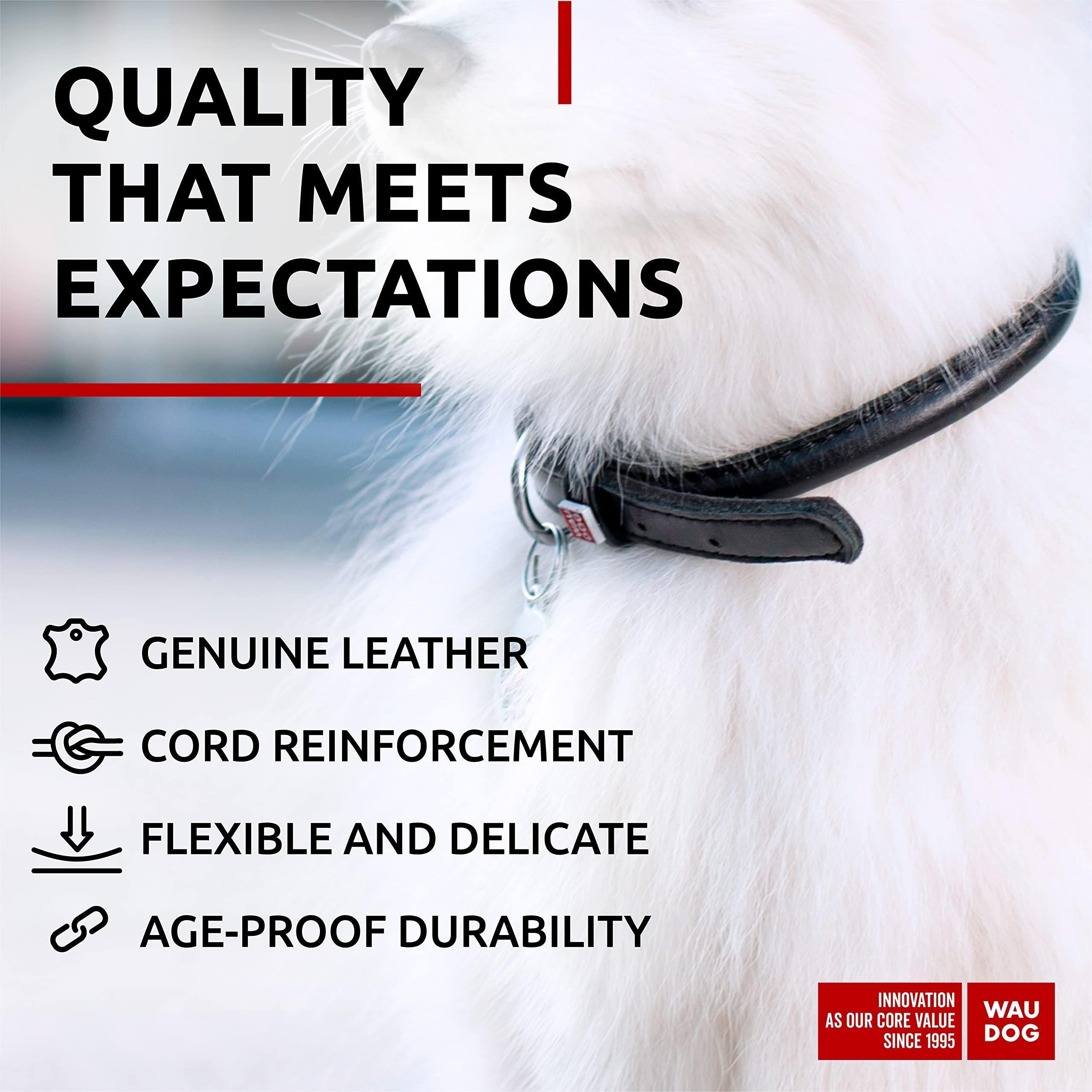 Ultra Soft Rolled Leather Dog Collar for Small Dogs   Soft Padded Dog Collars for Medium Dogs   Puppy Collars for Large…