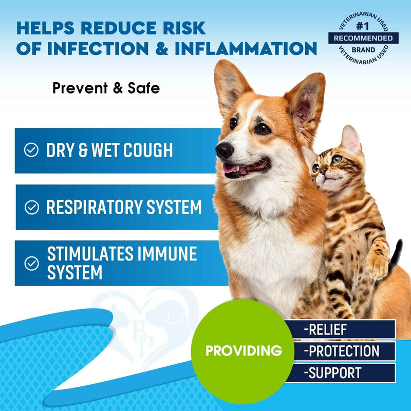 Kennel Cough Treatment & Natural Infection Medicine for Dogs & Cats   Respiratory & Cold Cough Relief   Collapse Trachea & Cat Asthma Support   Made in USA