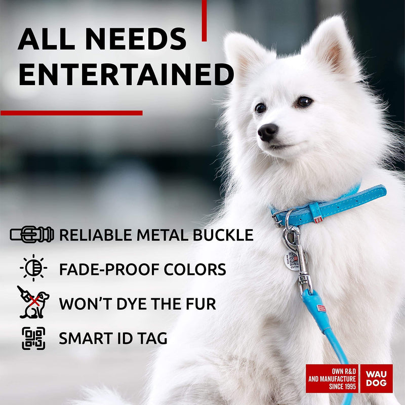 Ultra Soft Rolled Leather Dog Collar for Small Dogs   Soft Padded Dog Collars for Medium Dogs   Puppy Collars for Large…