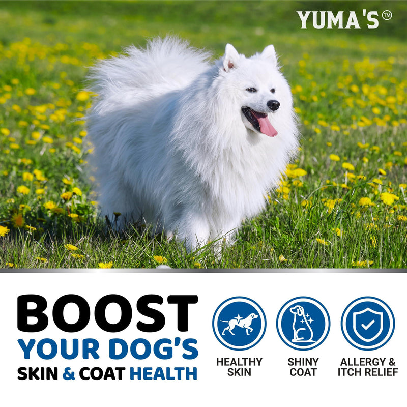 Omega 3 Fish Oil for Dogs   170 Chews   Skin and Coat Supplement   Omega 3 for Dogs   Dry & Itchy Skin Relief Treatment…