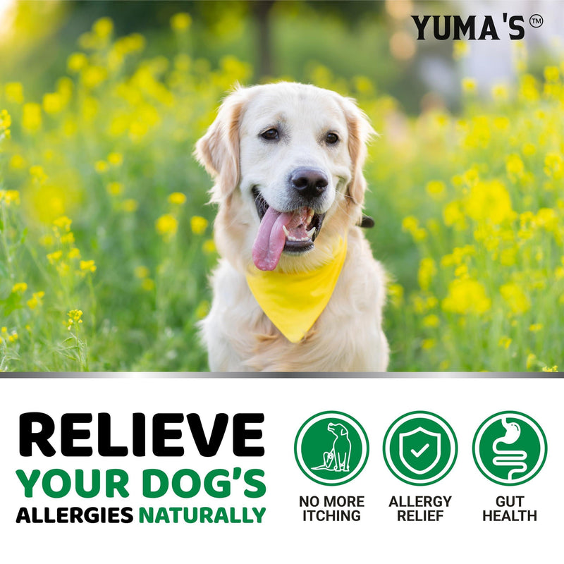YUMA'S Dog Allergy Relief Chews   Dog Itching Skin Relief Treatment Pills   170 Treats   Anti Itch for Dogs   Itchy and Paw…