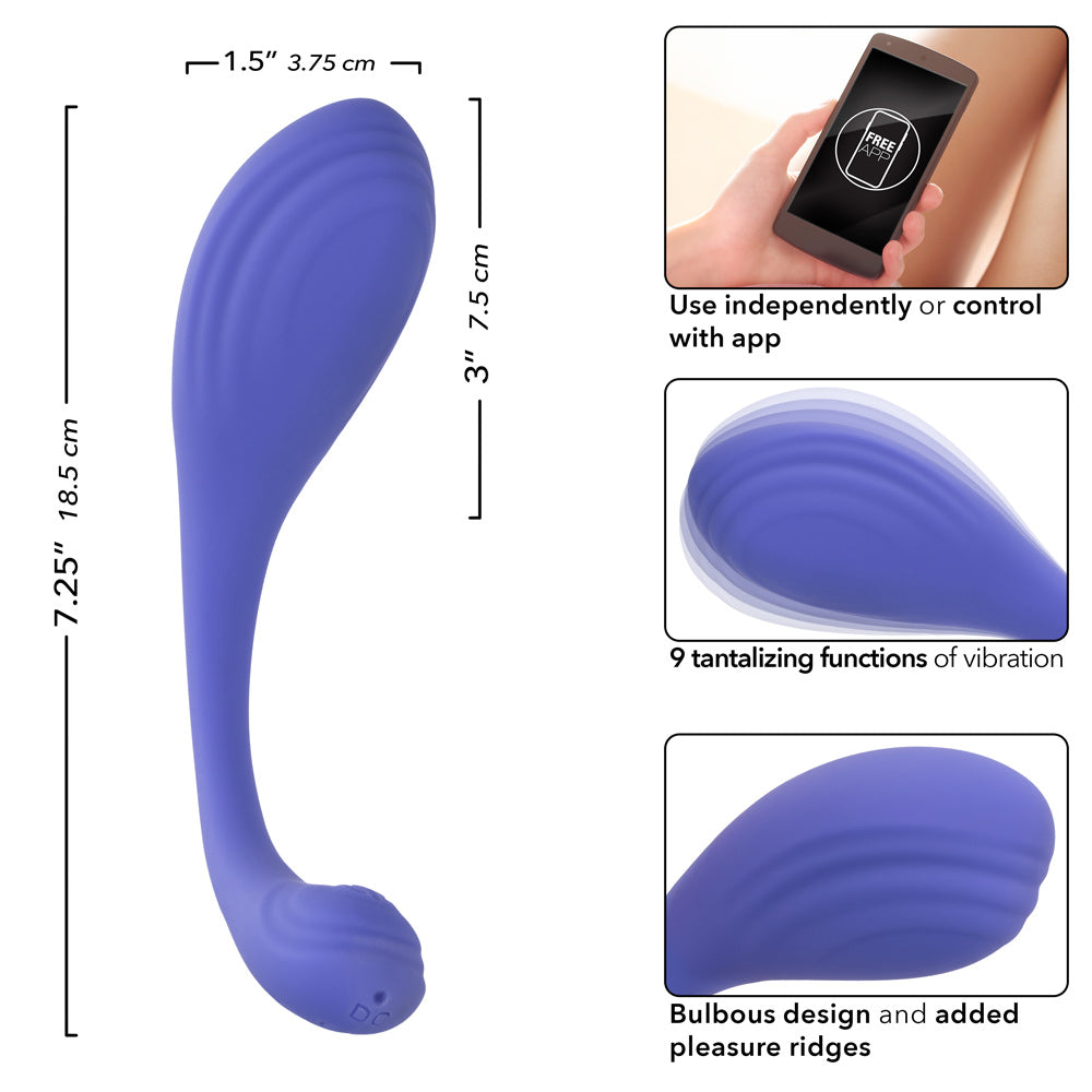 Calexotics Connect Kegel Exerciser - Periwinkle - GreatEagleInc